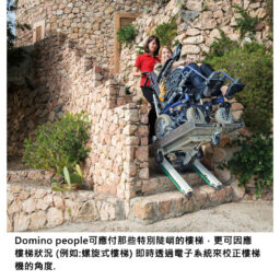意大利ZONZINI DOMINO PEOPLE HK 獨家代理上貨400 kg樓梯搬運樓梯機